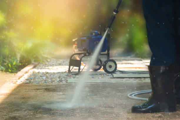 Best Animal Enclosure Cleaning  in Dewitt, IA
